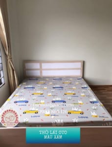 giuong-ngu-bang-nhua-ecoplast