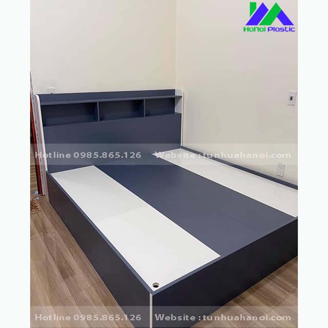 Mẫu giường nhựa kết hợp giá sách đẹp - Tunhuahanoi.com